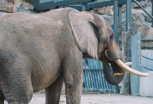 Imagen: Motion Array