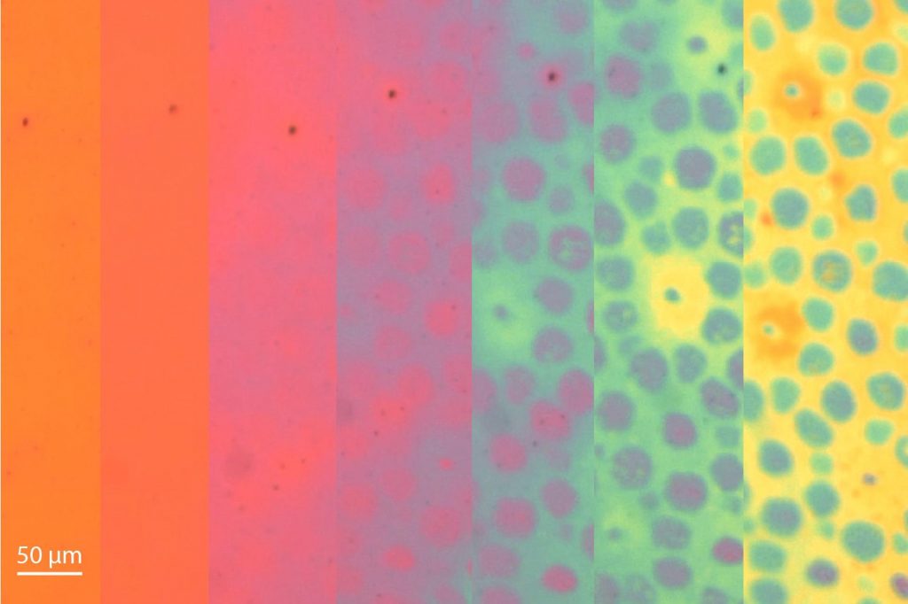 Crédito: EFE Fuente: EFE