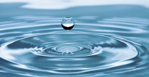 pexels-pixabay-40784