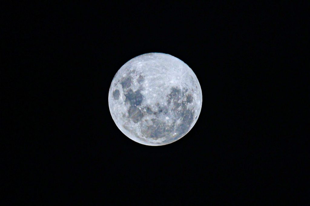 Imagen: EFE/ Gastón Britos