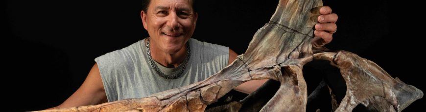 Descubren en el Sáhara un nuevo Spinosaurus y reescriben su vida muy lejos del mar