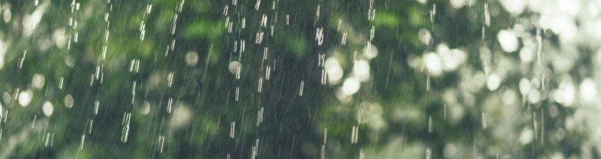 Lluvia ácida: contaminación que regresa con graves impactos