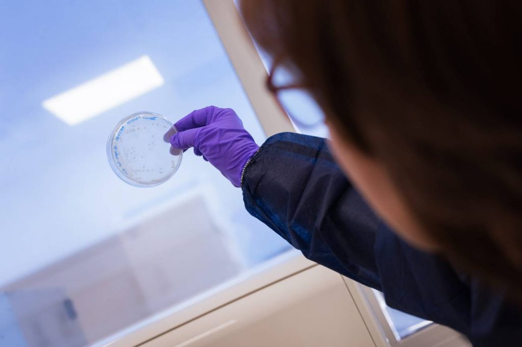 César Hernández Regal.