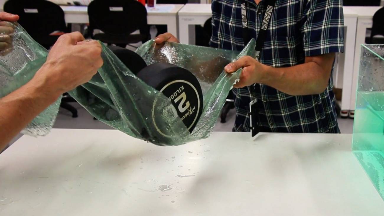 Un biomaterial que se fortalece con el agua podría ser una alternativa al plástico