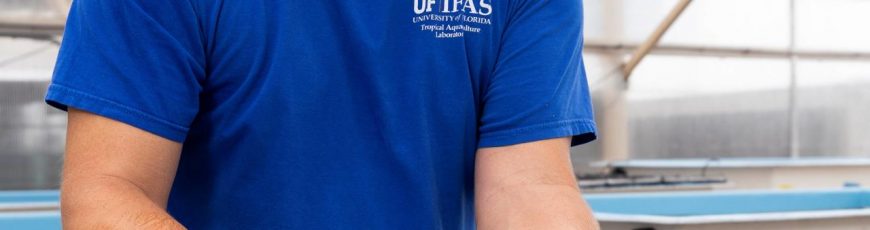 Desarrollan fórmula para erizos de mar en Florida con fines de restauración de arrecifes