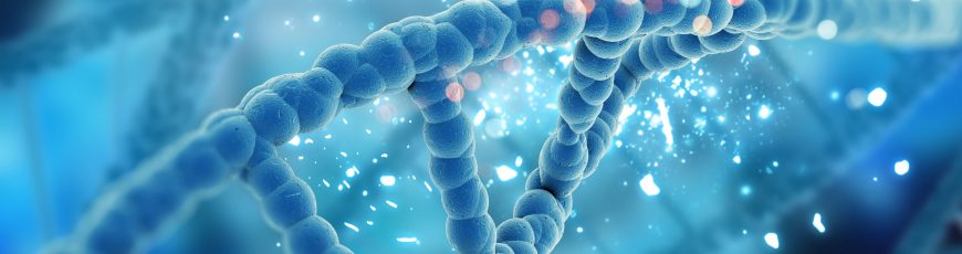 Usan la edición genética CRISP para destruir los tumores con demasiados oncogenes