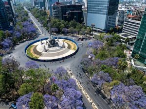 20260325de0bc49e2e404b68b15cb52ec5ea6c8b_CmxmssS000012_20260325_CBMFN0A001