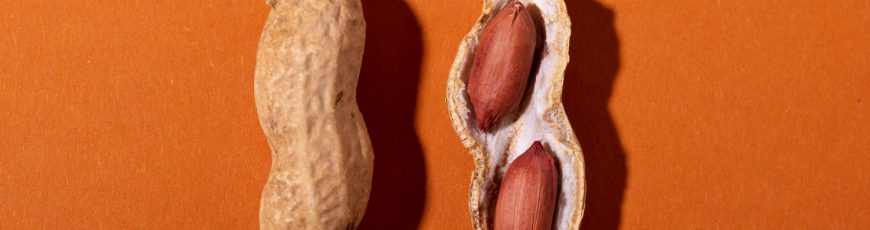 Las bacterias de la saliva pueden ayudar a reducir las reacciones alérgicas al cacahuete