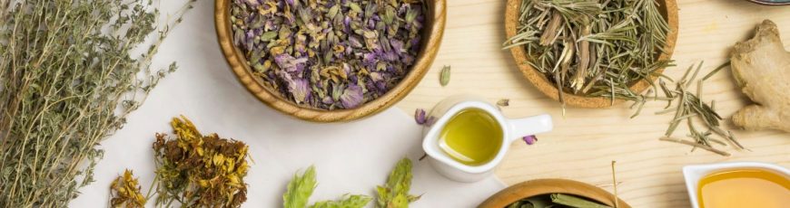 OMS busca regularizar uso de la medicina tradicional