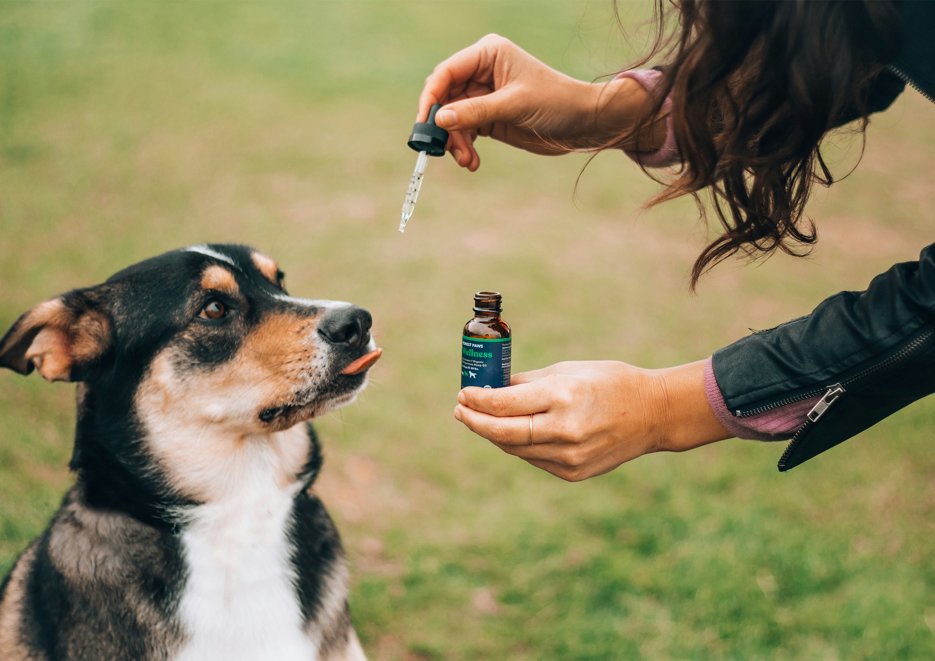 Medicina homeopática, una alternativa para tratar animales
