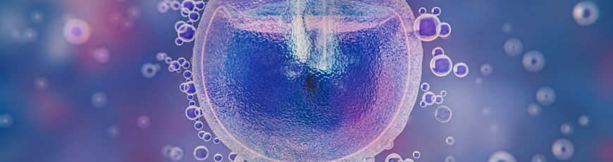 Criopreservación: opción de fertilidad aún limitada