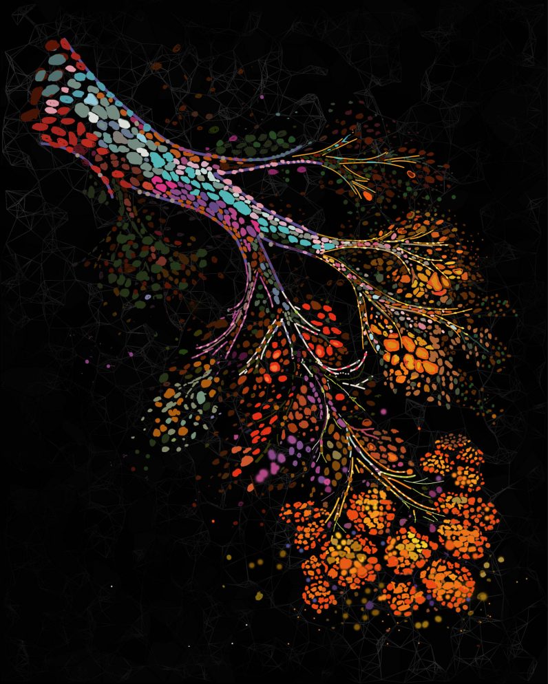 EFE/ Investigadores de las universidades de Cambridge y de la Columbia Británica