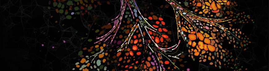 Desvelan por qué el riesgo de cáncer de mama aumenta tras la menopausia