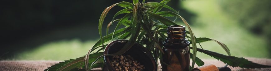 Investigan potencial del CBD contra la insuficiencia cardíaca