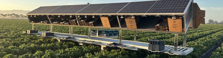 Robots agricultores y ganaderos armados de inteligencia artificial, así son las granjas del futuro