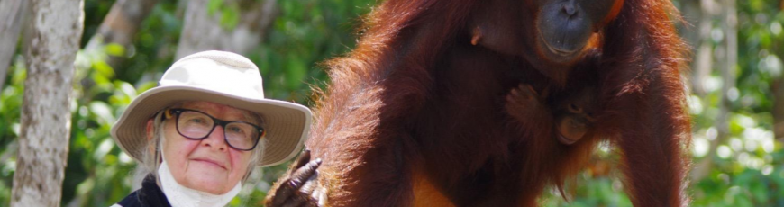Fallece la doctora Biruté Mary Galdikas, principal experta mundial sobre orangutanes
