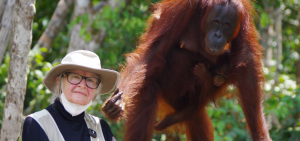 Tribute-to-Dr-Birute-Copyright-Banner