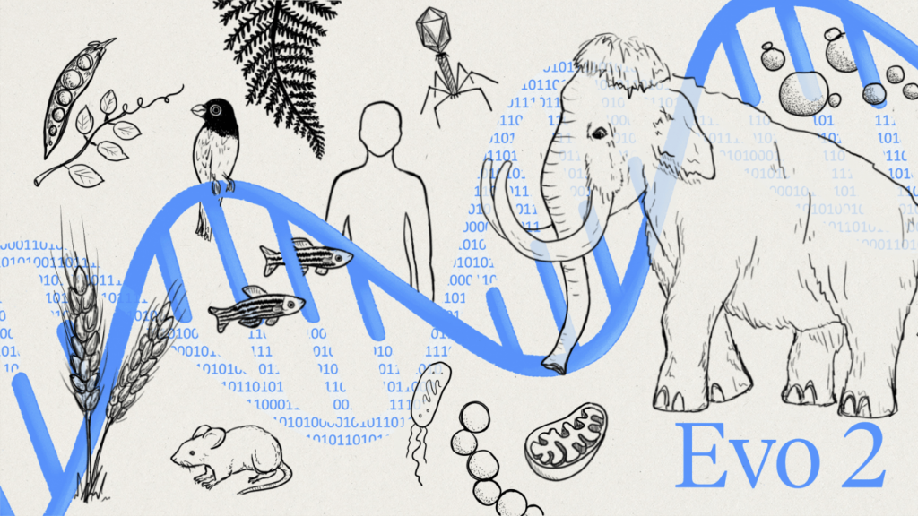 Ilustración del nuevo modelo genético Evo2. / Arc Institute