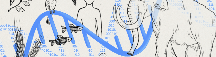 Una IA entrenada con 128 000 especies permite diseñar genomas o predecir enfermedades
