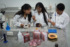 Estudiantes bolivianas avanzan en anticonceptivo masculino reversible a partir de papaya