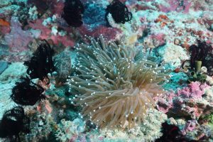 ekaterina-zlotnikova-2g1_UABczGg-unsplash