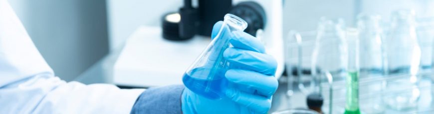 Una mala conexión entre el aparato digestivo y el cerebro daña la memoria