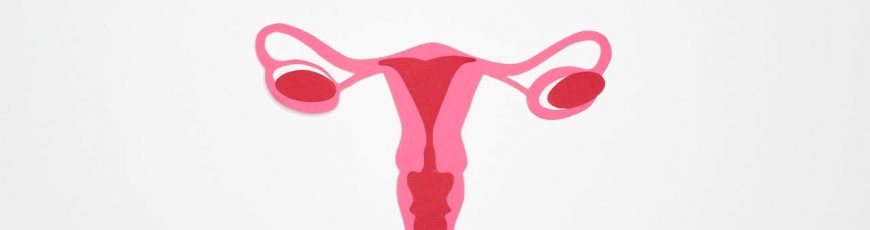 Día de la Mujer. Tu salud hormonal ante los disruptores endocrinos