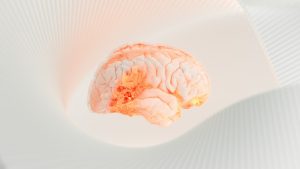 298-7-CIENCIA_Cerebro_
