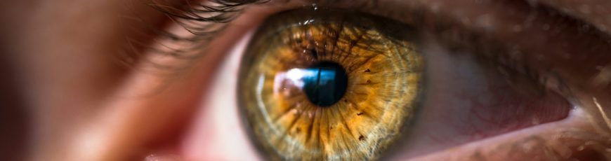 UAA desarrolla tratamiento para regenerar el nervio óptico