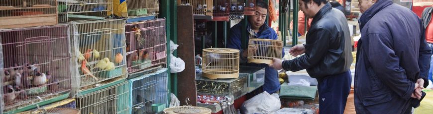 El comercio de especies aumenta la transmisión de patógenos y el riesgo de pandemias