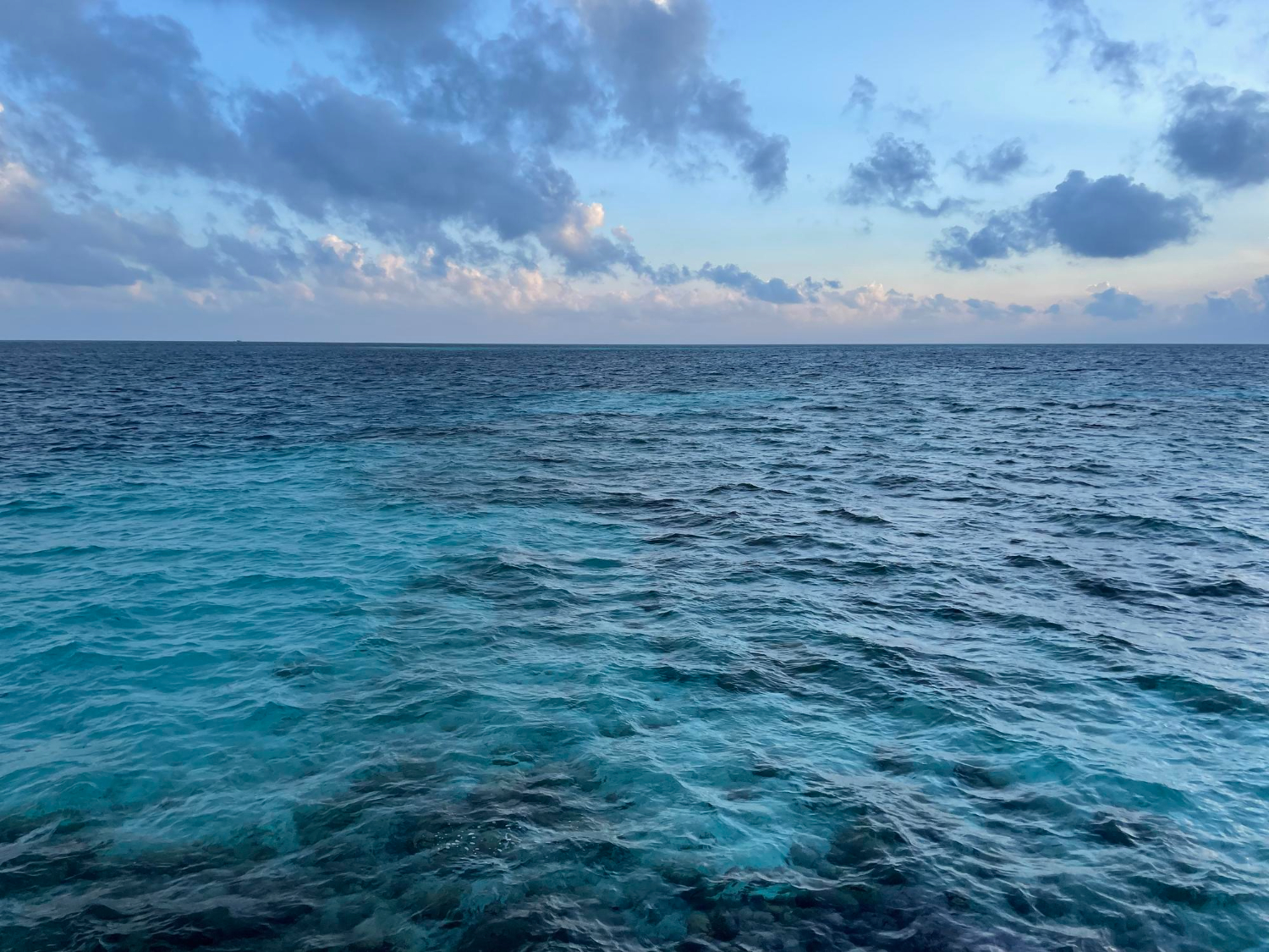 Primera «COP Océanos» tendrá lugar del 11 al 22 de enero de 2027