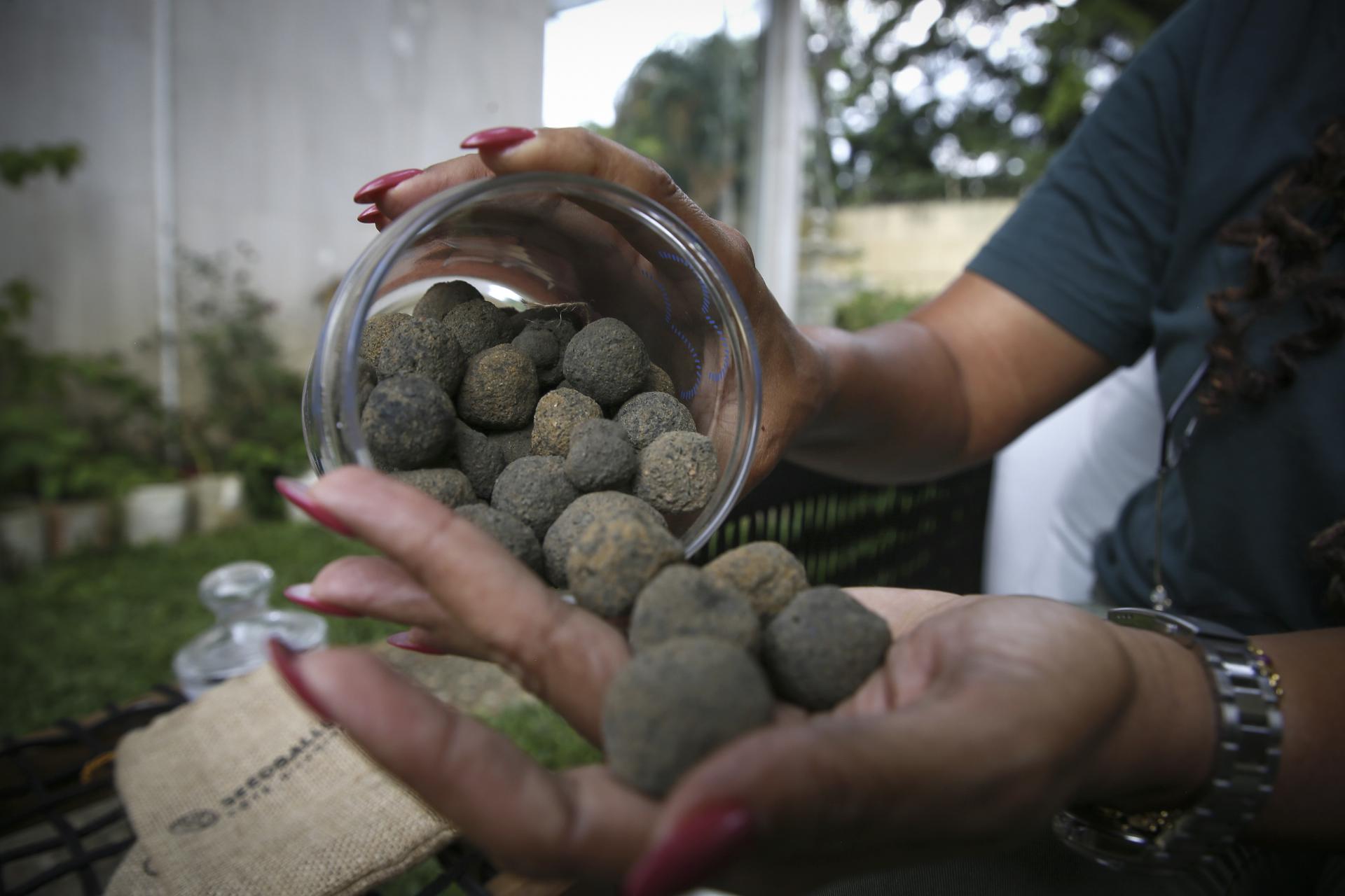 Biochar, una solución para combatir el cambio climático