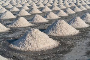 854-6-TECNO_Litio tierras raras_