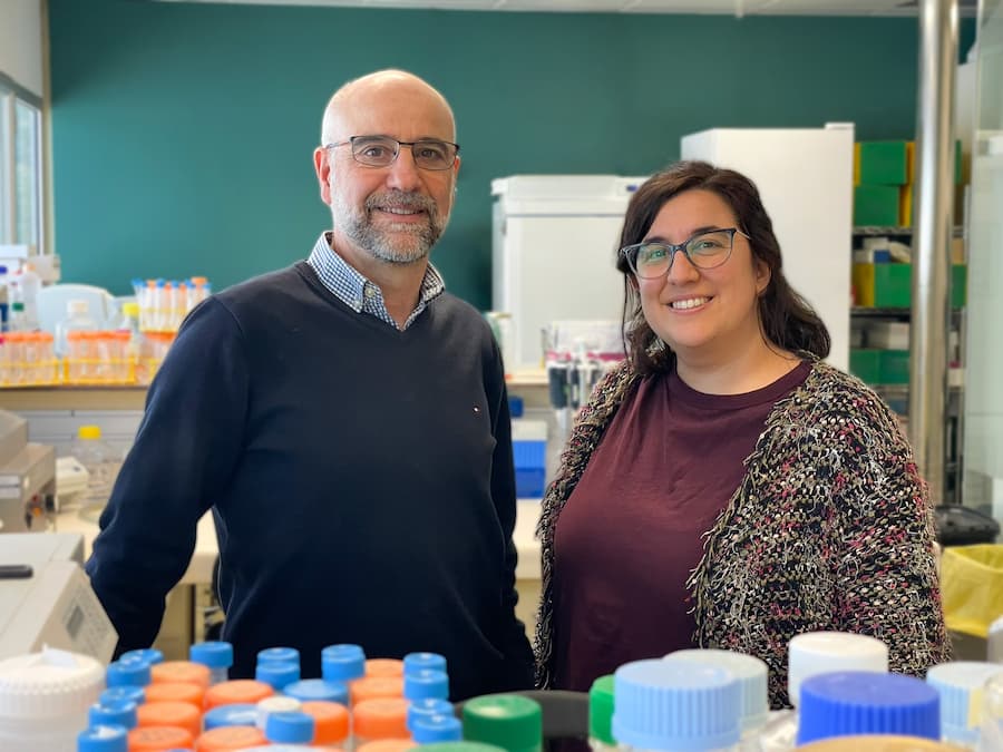 Primer caso de ‘curación’ del VIH con un trasplante de células madre procedente de un hermano