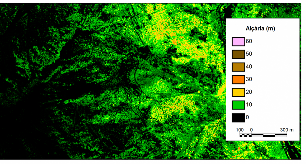 (Lladorre, en el Pallars Sobirà). / UAB