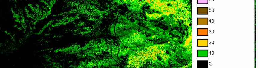 Una nueva herramienta permite medir los cambios en la altura de árboles y edificios