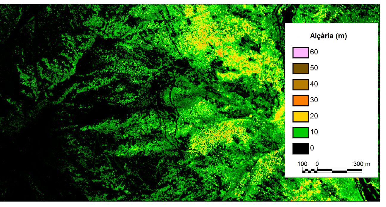Una nueva herramienta permite medir los cambios en la altura de árboles y edificios