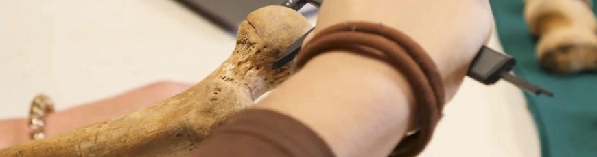 Hallan un marcador óseo asociado a la menstruación en restos humanos de siglos XIV a XVIII