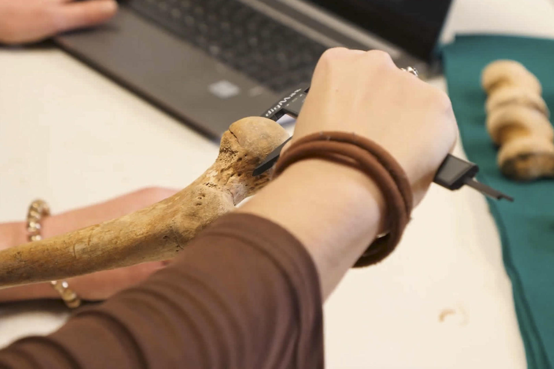 Hallan un marcador óseo asociado a la menstruación en restos humanos de siglos XIV a XVIII