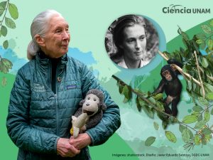 ar_jane_goodall_01_26032026