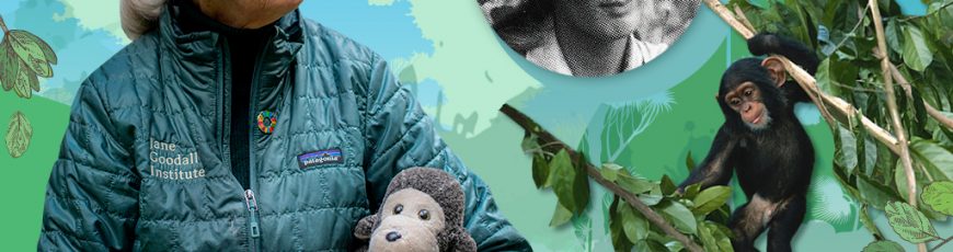 Jane Goodall nos enseñó que se puede investigar con rigor, pero también con compasión