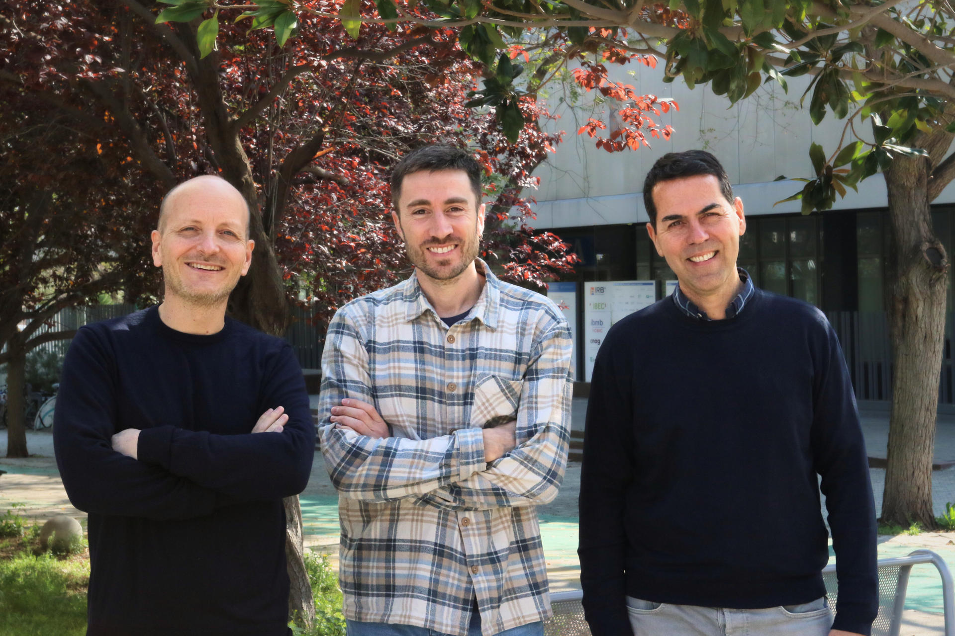 Científicos crean tejidos vivos capaces de cambiar de forma bajo programación