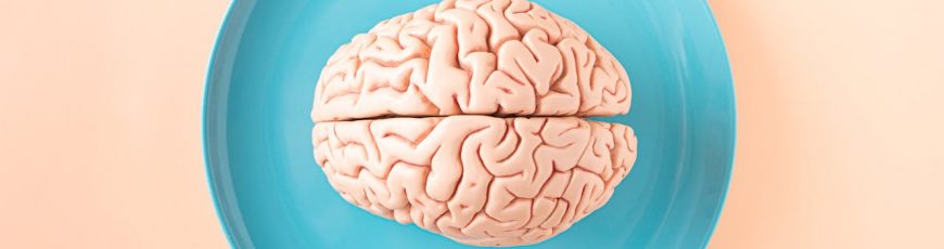 Científicos revelan cómo el entorno acelera o frena el envejecimiento del cerebro