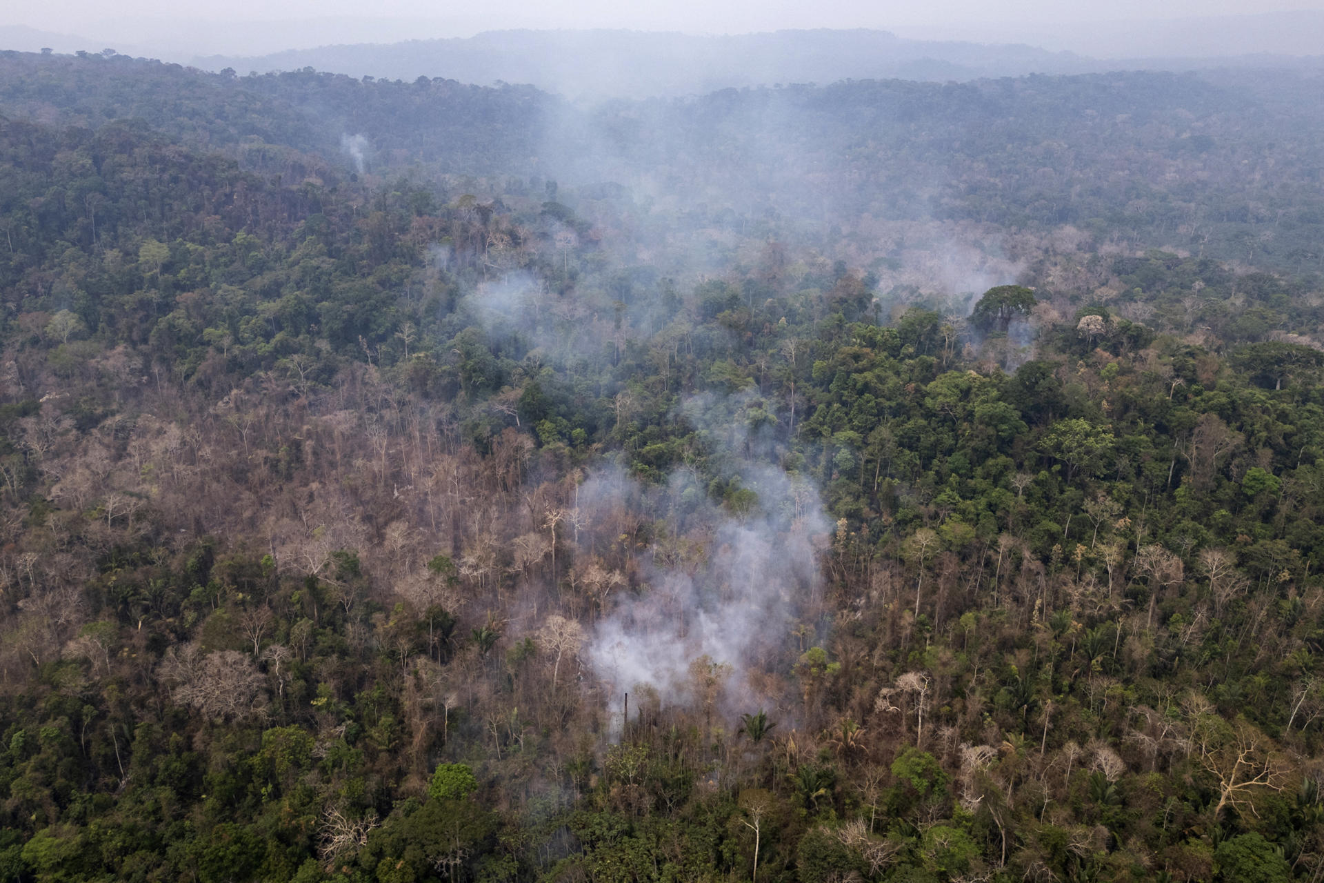 La tala continuada y el calentamiento global podrían convertir la Amazonía en una sabana