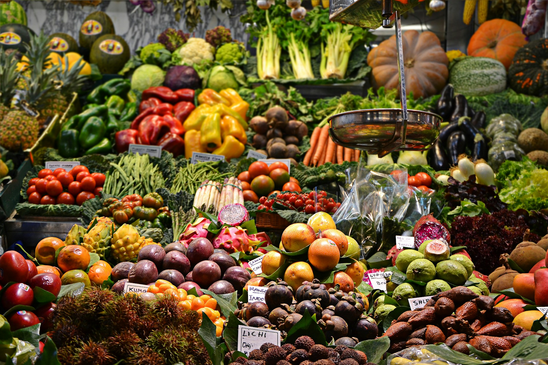 ONU: Urge transformar los sistemas alimentarios en América Latina