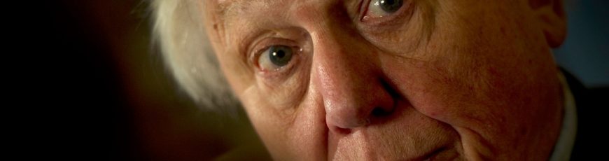 David Attenborough, ícono de la defensa del planeta, cumple 100 años