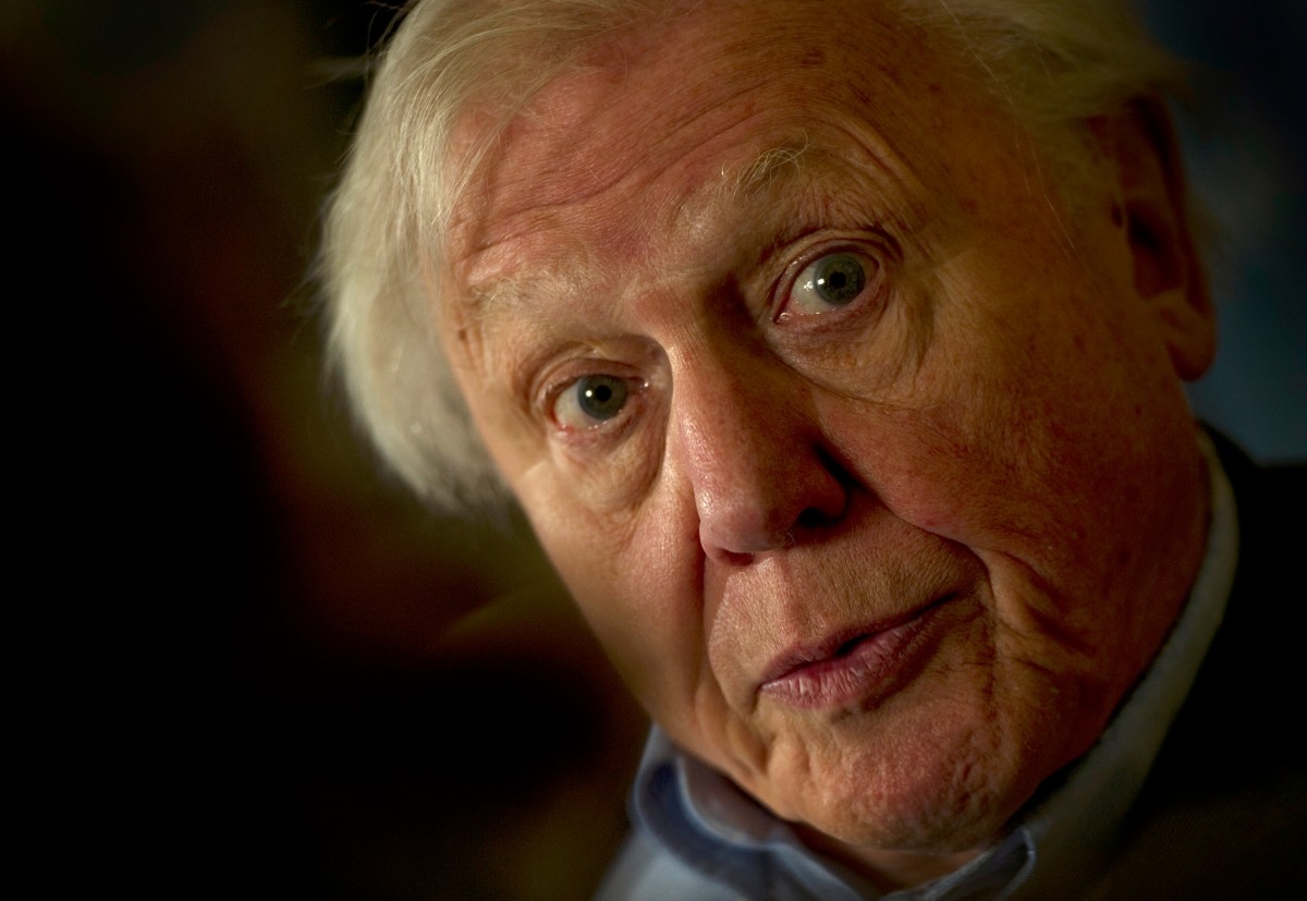 David Attenborough, ícono de la defensa del planeta, cumple 100 años