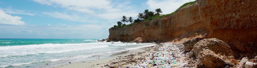 La basura de alimentos y bebidas lidera la contaminación mundial por plásticos