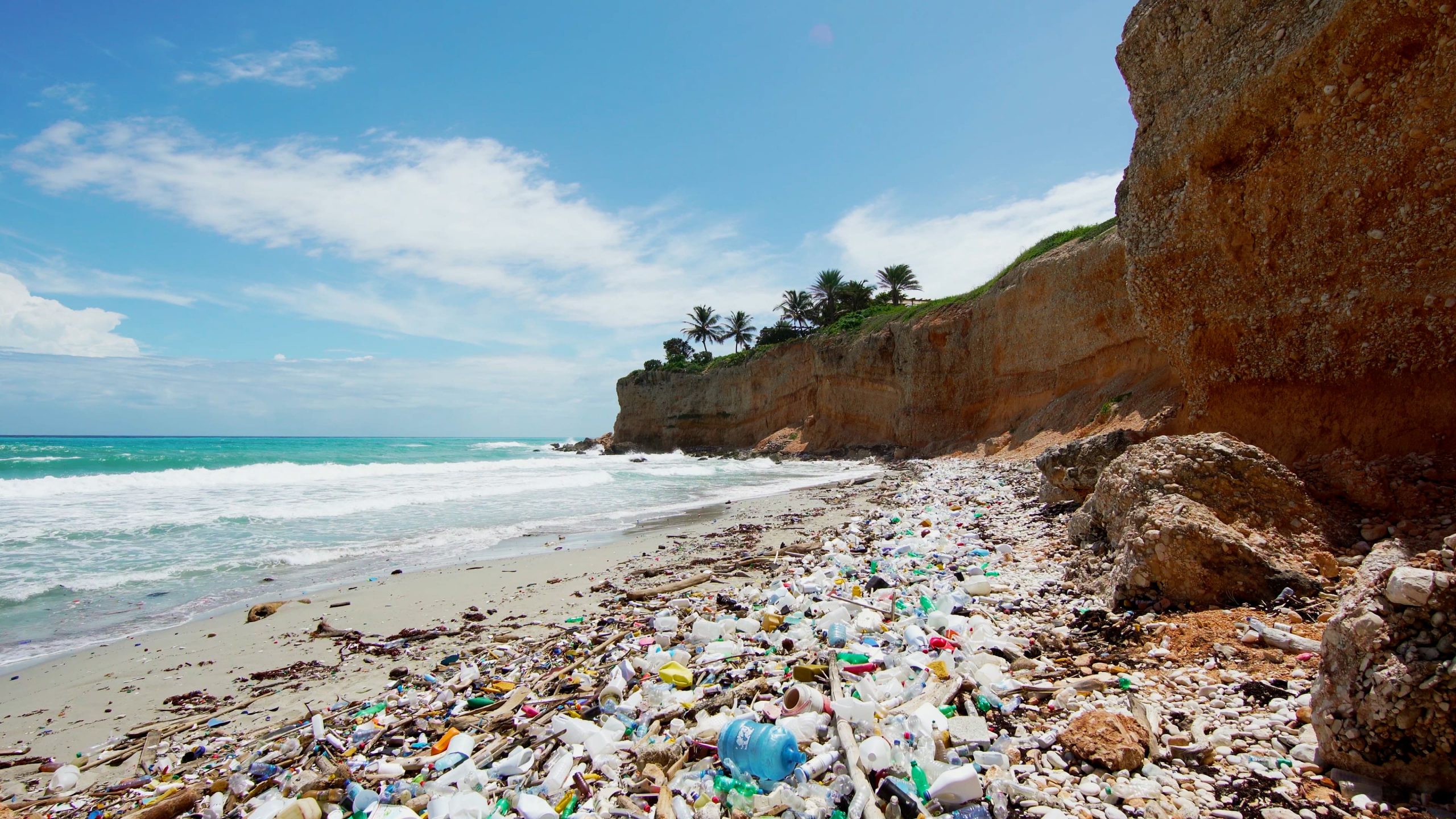 La basura de alimentos y bebidas lidera la contaminación mundial por plásticos