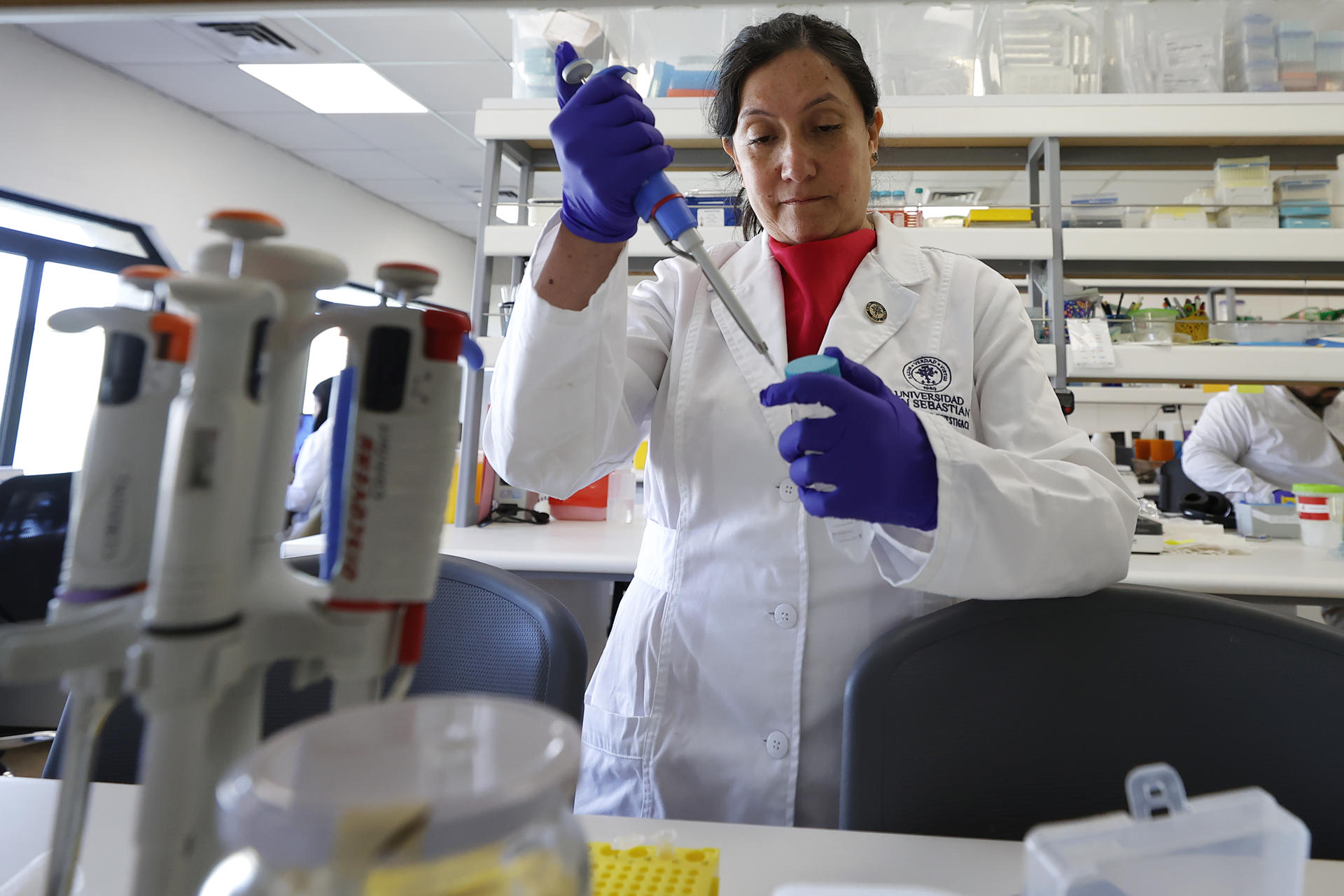 La alentadora vacuna chilena contra el hantavirus que busca fondos para avanzar en humanos